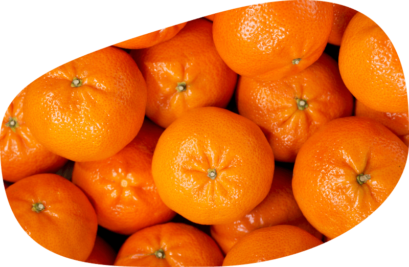Malvasio