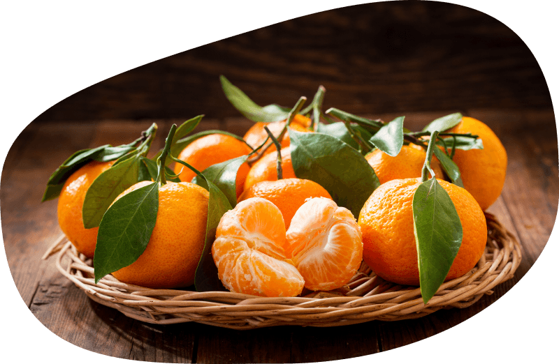 Satsuma